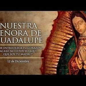 Meet your Posher, Idalia